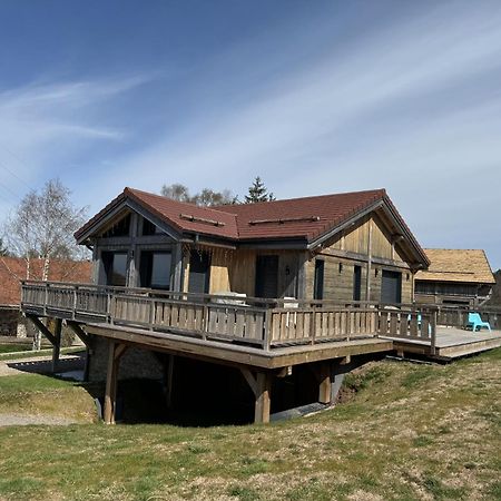 L'Adret Du Temps Chalet 10 Personnes 170M2 Gérardmer Eksteriør billede