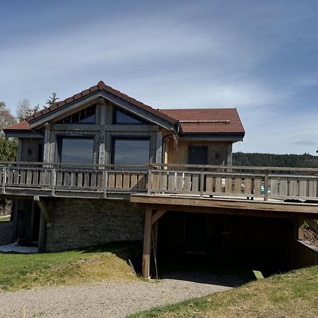 L'Adret Du Temps Chalet 10 Personnes 170M2 Gérardmer Eksteriør billede