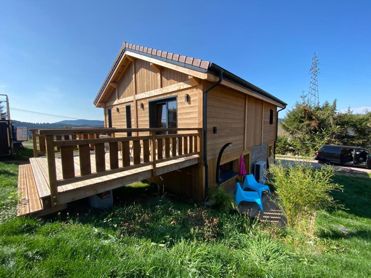 L'Adret Du Temps Chalet 10 Personnes 170M2 Gérardmer Eksteriør billede