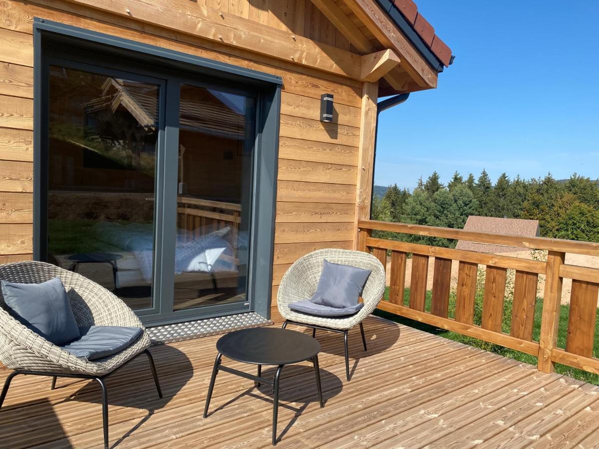 L'Adret Du Temps Chalet 10 Personnes 170M2 Gérardmer Eksteriør billede